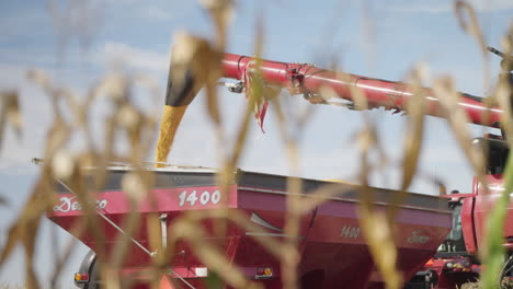 Combine-Harvester-Pouring-Freshly-Harvested-Corn-Grain-into-Grain-Cart