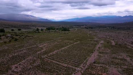 Drone-shot-flying-upwards-and-backwards-revealing-the-ruins-of-the-agricultural-fields-of-an-ancient-city-in-Jujuy,-Argentina