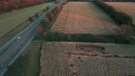 Verkehr-Entlang-Von-Feldern-Und-Herbstbäumen-Auf-Der-A11-An-Der-Croxton-Road-In-Der-Nähe-Von-Thetford,-Norfolk,-Vereinigtes-Königreich