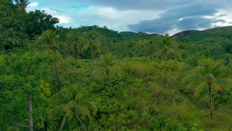 Aerial-over-jungle-clearing-with-palm-trees,-surrounded-by-densely-covered-hills