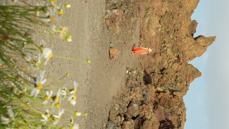 Woman-in-orange-dress-wearing-beach-hat-running-across-deserted-land-towards-the-rocky-mountain-with-daisy-flowers-in-foreground,-handheld-vertical