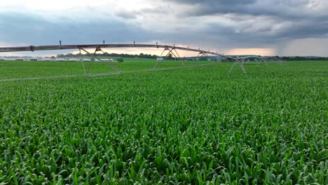 Modern-irrigation-system-watering-a-green-corn-field-under-a-cloudy-sky