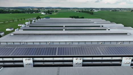Factory-farm-in-USA-with-solar-panels-on-rooftops-of-chicken-houses