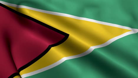 Guyana-Flagge
