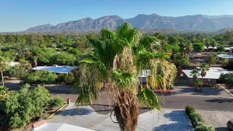 Southwest-USA-neighborhood:-sprawling-desert-homes,-palm-trees,-with-mountain-backdrop