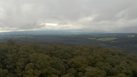 Luftperspektive,-Die-Sich-Sanft-Auf-Wolken-Zubewegt,-Die-über-Den-Wald-Rollen
