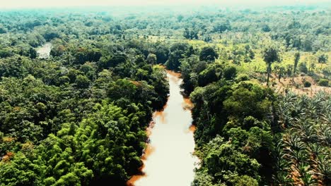 Großer-Fluss-Im-Amazonasgebiet-Und-Bäume