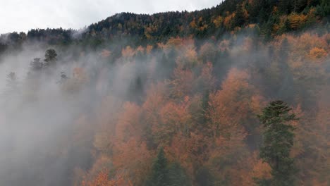 Luftaufnahme-über-Dem-Lebendigen-Herbstlichen-Bergwald-über-Wolken,-4k