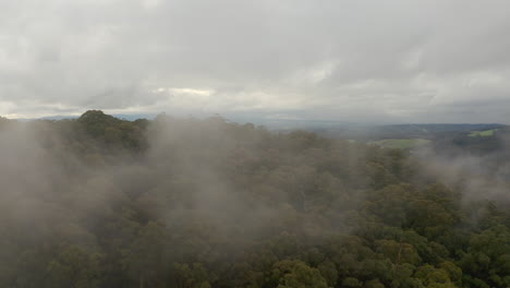 Niebla-De-Perspectiva-Aérea-Que-Fluye-Con-Gracia-Sobre-El-Hermoso-Dosel-De-árboles-En-El-Paisaje-Natural