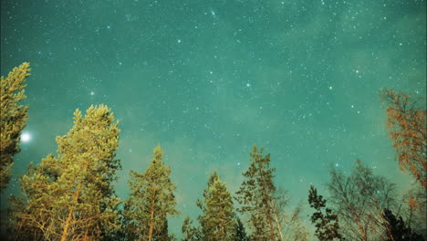 Night-star-time-lapse-in-boreal-forest