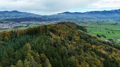 Drone-flight-over-forest-in-Tuggen-Switzerland.