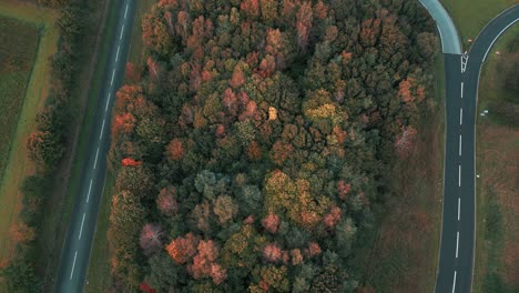 Group-Of-Autumnal-Trees-Amidst-Roads-In-Croxton-Near-Thetford-Norfolk,-United-Kingdom
