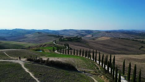 Nice-aerial-top-view-flight-Tuscany-Cypresses-avenue-rural-alley-Italy
