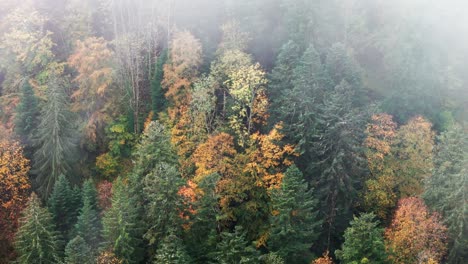 Luftaufnahme-Eines-Dollys-über-Einem-Lebendigen-Herbstlichen-Bergwald-Mit-Wolkenschleier,-4k