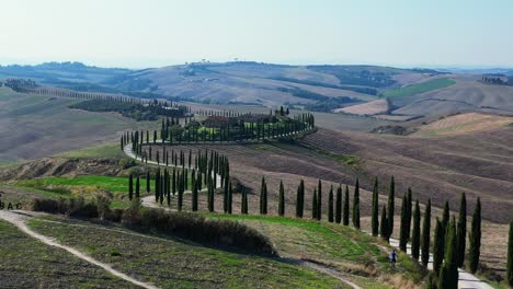 Magic-aerial-top-view-flight-Italy-Cypresses-road-rural-alley-Tuscany
