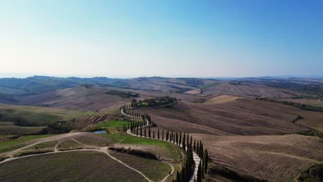 Magic-aerial-top-view-flight-Tuscany-Cypresses-avenue-rural-alley-Italy