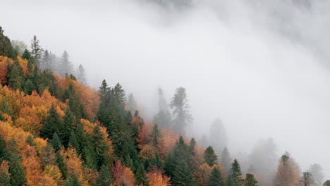 Luftaufnahme,-Die-Durch-Dicke-Wolken-über-Den-Lebendigen,-Herbstlichen-Bergwald-In-Der-Nähe-Von-Bäumen-Fliegt,-4k