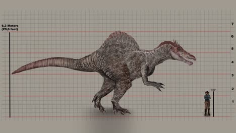 Die-Körpergröße-Des-Menschen-Im-Vergleich-Zum-Spinosaurus-Auf-Dem-Diagrammgitter