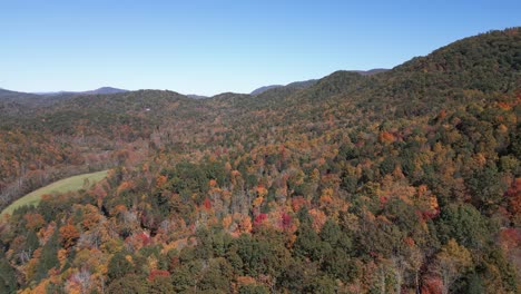 4K-Aerial-Drone-Footage-Above-the-Forest-and-Colorful-Blue-Ridge-Mountains-in-Beautiful-Autumn