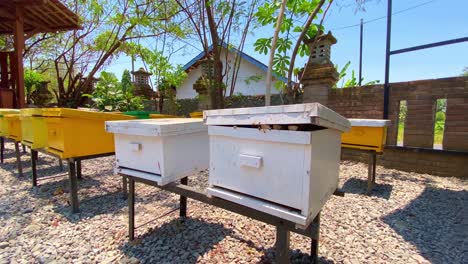 Wooden-beehive-box-on-apiary.-Beekeeping-farm