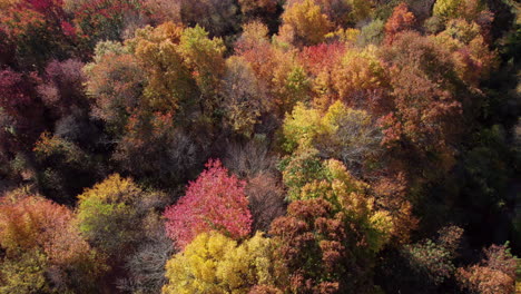 Die-Wälder-In-Wunderschönen-Herbstfarben-Neben-Dem-Pawtuxet-River-In-West-Warwick