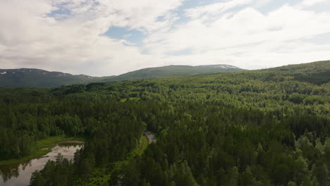 Aerial-flyover-of-dense-endless-norwegian-wilderness,-campervan-passes-on-road