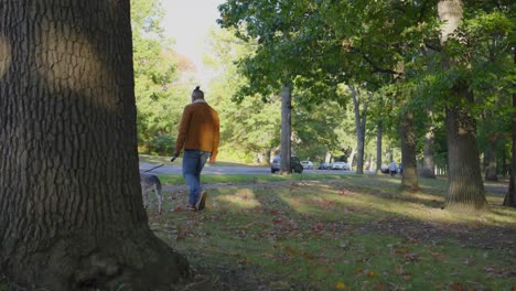 a-young-black-man-walks-his-dog-through-the-park-on-a-sunny-fall-day-in-Ohio