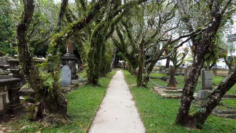 Weg-Unter-Bäumen-Und-Durch-Das-Herz-Des-Friedhofs