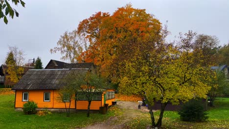 Traditionelles-Gelbes-Baltisches-Holzhaus-Mit-Gelber-Herbstbaumfassade