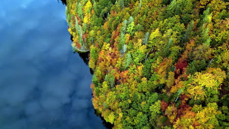 Top-view-of-the-autumn-forests-on-the-shore-of-Lake-Toplitz-in-the-Austrian-Alps