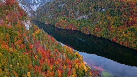 High-aerial-view-of-Lake-Toplitz-surrounded-by-autumn-forests-in-the-Austrian-Alps