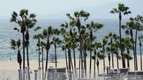 Wide-shot-of-Venice-Beach-and-life-guard-tower-looking-through-palm-trees-with-waves-crashing