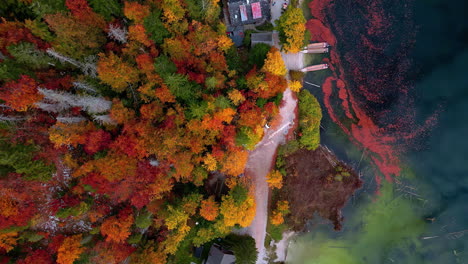 Aerial-view-of-autumn-forest-with-red-and-golden-foliage-near-calm-water-stream-flowing-under-thin-roads