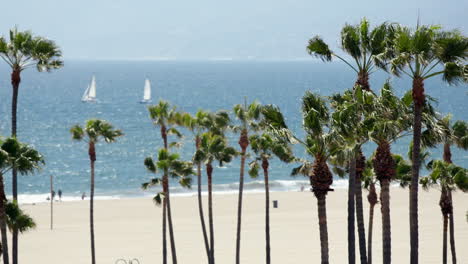 Long-lens-shot-of-Venice-Beach-with-blue-sky,-palm-trees,-ocean-and-sailboats-in-the-distance