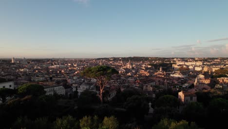 Gorgeous-Rome-skyline-panorama-with-pine-tree-in-foreground,-4K-drone-shot