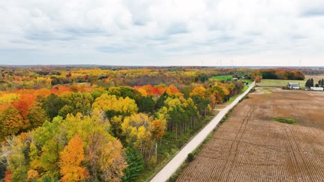 Colorful-country-Treeline-in-the-middle-of-Autumn