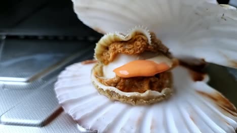 Whole-Bay-scallop-edible-saltwater-clam-prepared-inside-shell-on-aluminium-kitchen-surface
