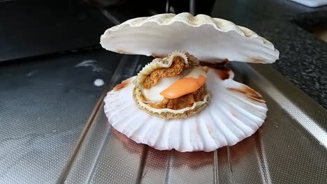 Jumbo-whole-Bay-scallop-edible-saltwater-clam-inside-shell-on-aluminium-kitchen-surface