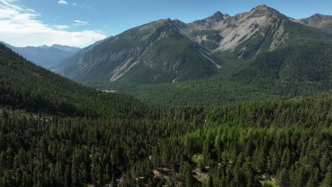 Aerial-flight-over-fir-tree-forest-with-rocky-mountains-in-background