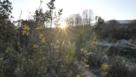 Vorfrühlingstage-Sonnenuntergang-In-Der-Natur-Garrigue-In-Der-Nähe-Von-Montpellier-Im-Süden-Frankreichs