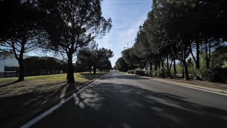 Empty-road-with-pine-trees-and-sun-beams-Montpellier-France