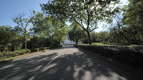 Sunny-road-with-trees-in-la-Grande-Motte-south-of-France-lockdown-period