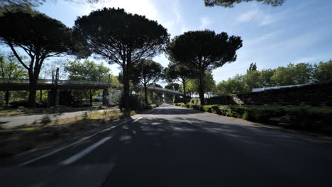 Sunny-empty-road-in-the-city-of-la-Grande-Motte-France-with-pine-trees