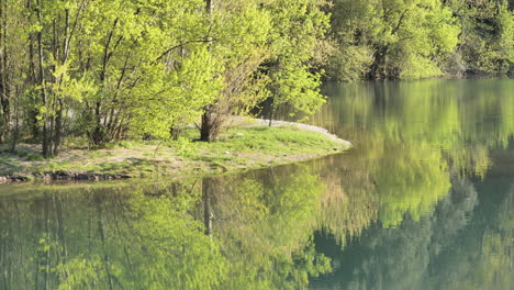 Bäume-Spiegeln-Sich-Im-Wasser-Des-Flusses-Herault-Im-Süden-Frankreichs,-Frühlingstag