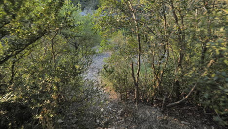 Pfad-Mit-Kleinen-Steinen-Im-Wald,-Der-Einen-Fluss-In-Der-Okzitanien,-Frankreich,-Entdeckt