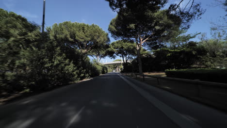 La-Grande-Notte-city-empty-road-with-pine-trees-south-of-France-sunny-day