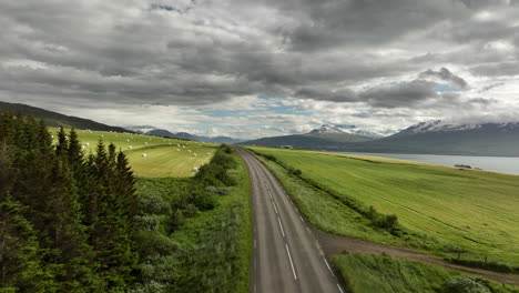 Straße,-Die-Zwischen-Landwirtschaftlichen-Feldern-In-Island-Verläuft,-Luftaufnahme,-Sonniger-Tag