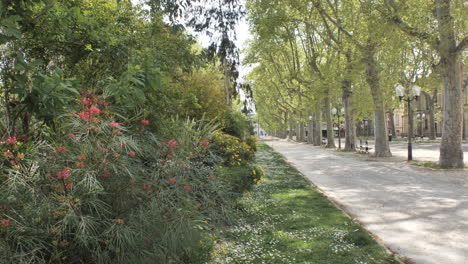 Montpellier-public-garden-with-path-along-vegetation-blooming-France