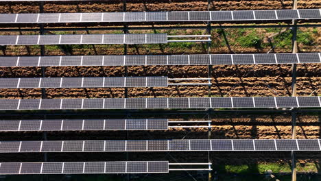 Montpellier's-agricultural-landscape-interspersed-with-modern-solar-panels,