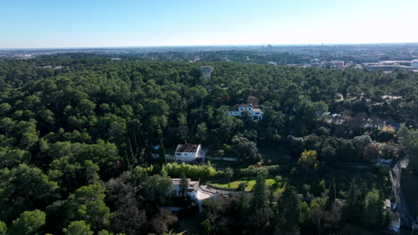 Research-facilities-surrounded-by-forest-aerial-Montpellier-sunny-day